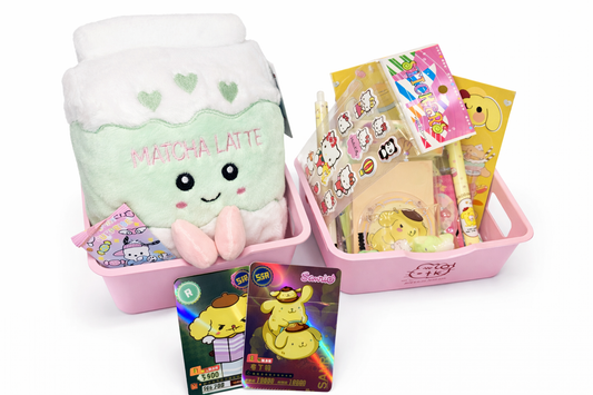 Scoopsthatscute Pastel Medium Mystery Box 🎀